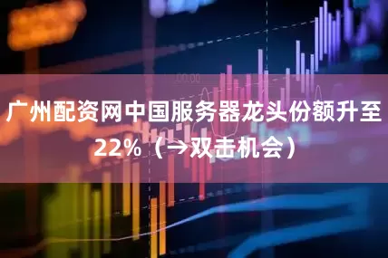 广州配资网中国服务器龙头份额升至22%（→双击机会）